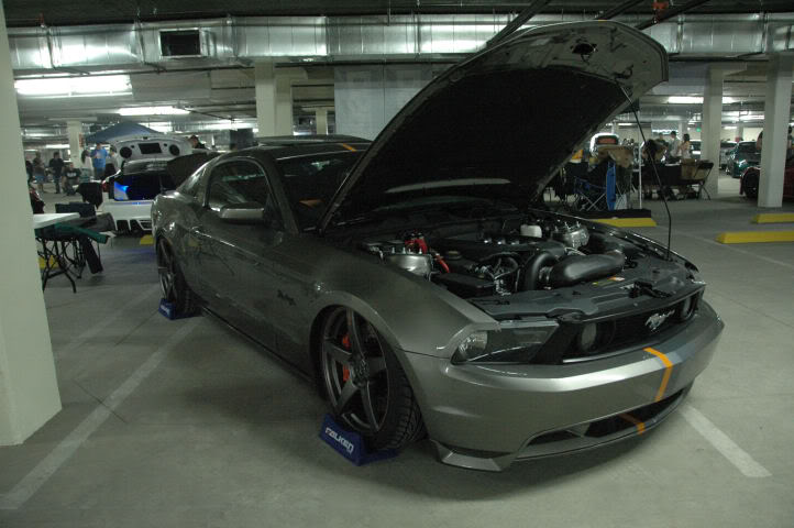 Name:  DSC_0246.jpg
Views: 20
Size:  53.4 KB