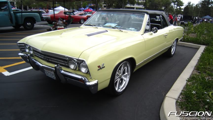 Name:  IMG_1587.jpg
Views: 62
Size:  70.8 KB