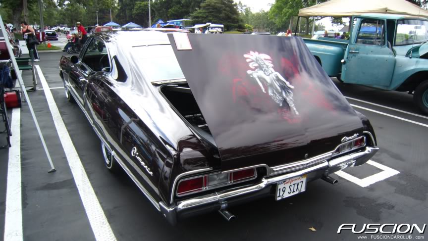 Name:  IMG_1588.jpg
Views: 81
Size:  81.1 KB