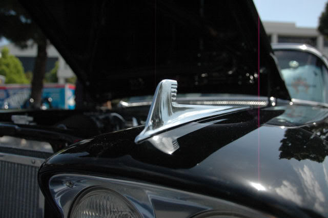 Name:  DSC_0034.jpg
Views: 65
Size:  41.1 KB