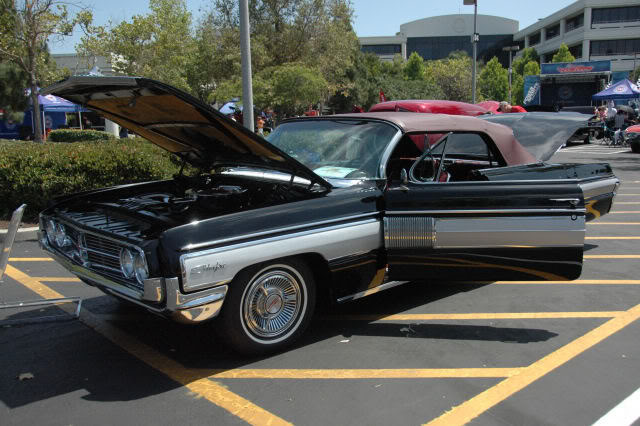 Name:  DSC_0101.jpg
Views: 31
Size:  74.9 KB