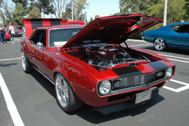 Name:  DSC_0108.jpg
Views: 23
Size:  82.9 KB