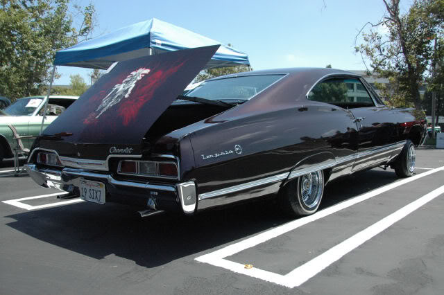 Name:  DSC_0121.jpg
Views: 24
Size:  64.5 KB