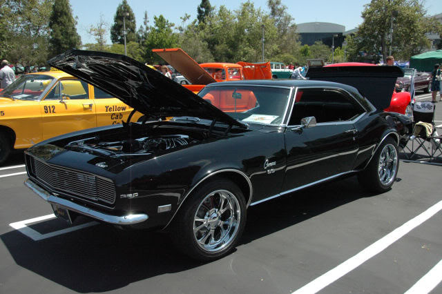 Name:  DSC_0156.jpg
Views: 23
Size:  77.7 KB