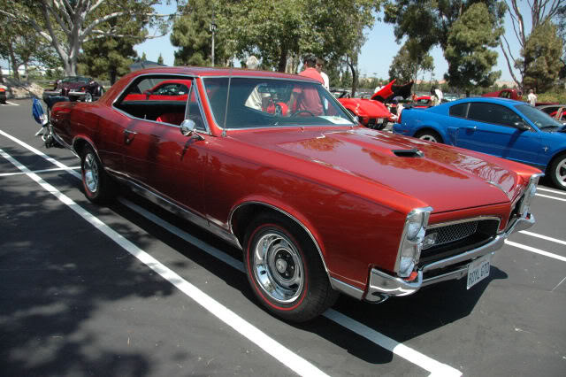 Name:  DSC_0171.jpg
Views: 27
Size:  79.4 KB