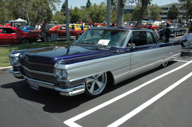 Name:  DSC_0176.jpg
Views: 24
Size:  73.6 KB