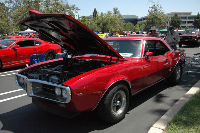 Name:  DSC_0177.jpg
Views: 24
Size:  85.1 KB