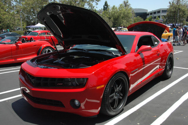 Name:  DSC_0178.jpg
Views: 23
Size:  86.4 KB