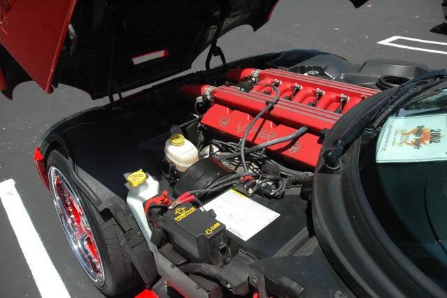 Name:  DSC_0181.jpg
Views: 26
Size:  72.2 KB