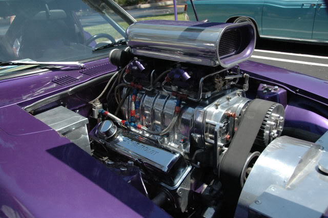 Name:  DSC_0186.jpg
Views: 27
Size:  65.4 KB