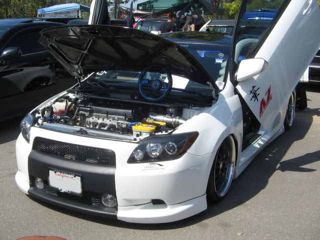 Name:  IMG_0303.jpg
Views: 23
Size:  77.1 KB