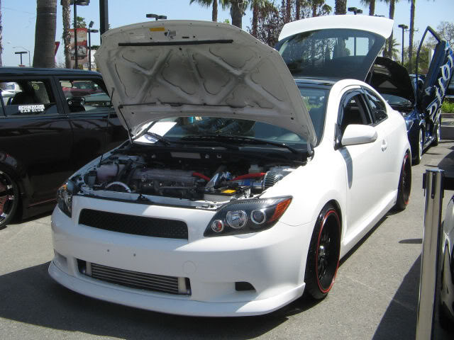 Name:  IMG_0353.jpg
Views: 18
Size:  72.7 KB