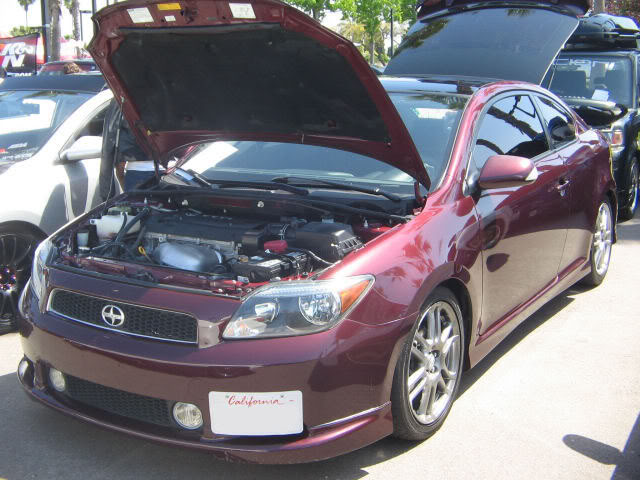 Name:  IMG_0362.jpg
Views: 18
Size:  78.3 KB