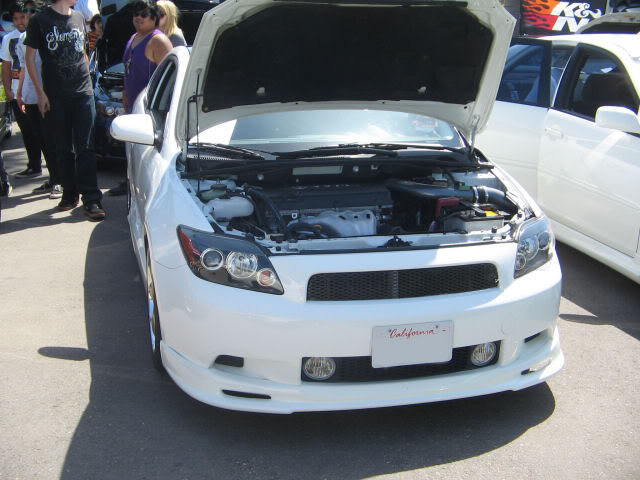 Name:  IMG_0363.jpg
Views: 17
Size:  66.9 KB