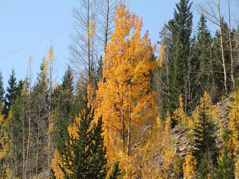 Name:  2_zpsf74a38a8.jpg
Views: 18
Size:  163.9 KB