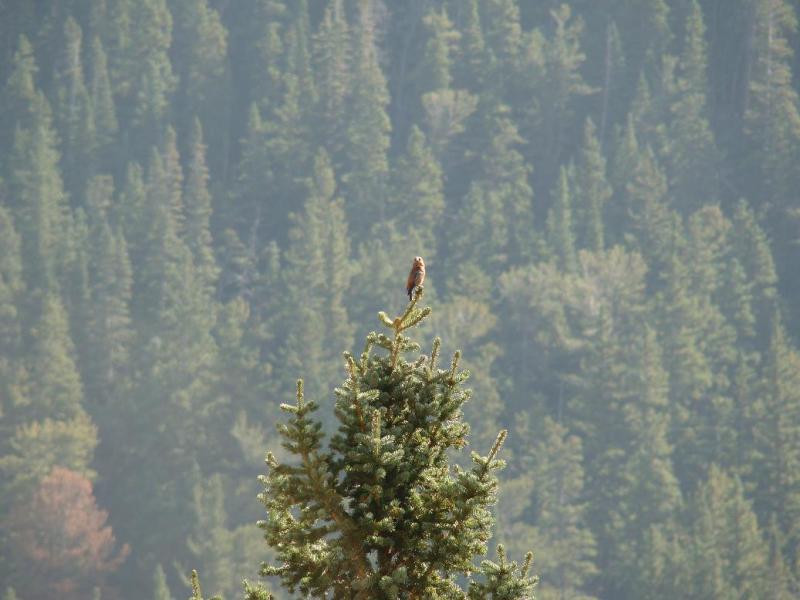 Name:  3_zps25fc1c25.jpg
Views: 7
Size:  66.7 KB