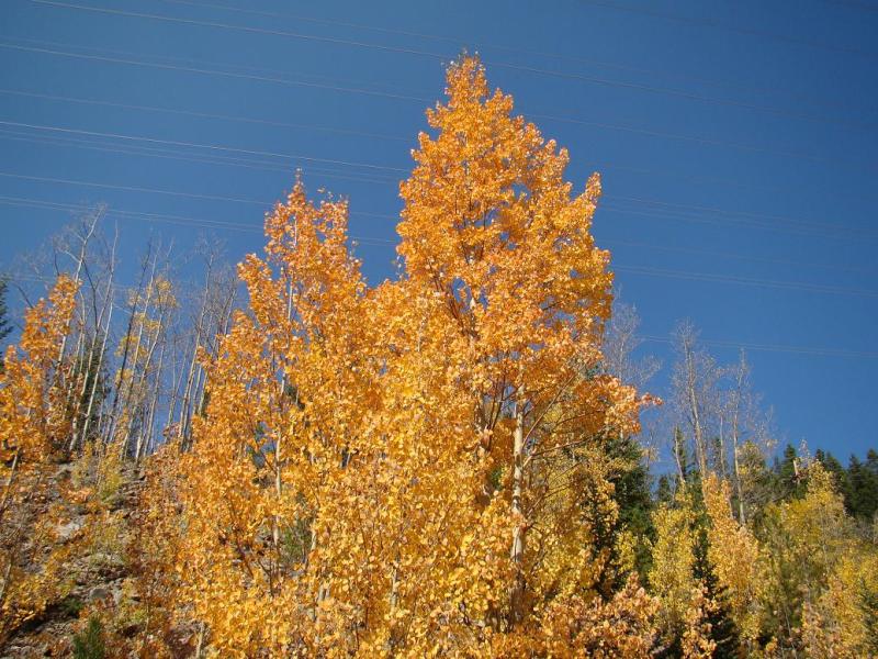 Name:  6_zps3176f5d8.jpg
Views: 10
Size:  123.1 KB