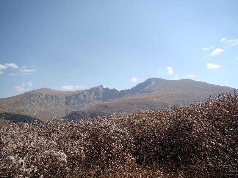 Name:  13_zps9c9b30d6.jpg
Views: 9
Size:  85.8 KB