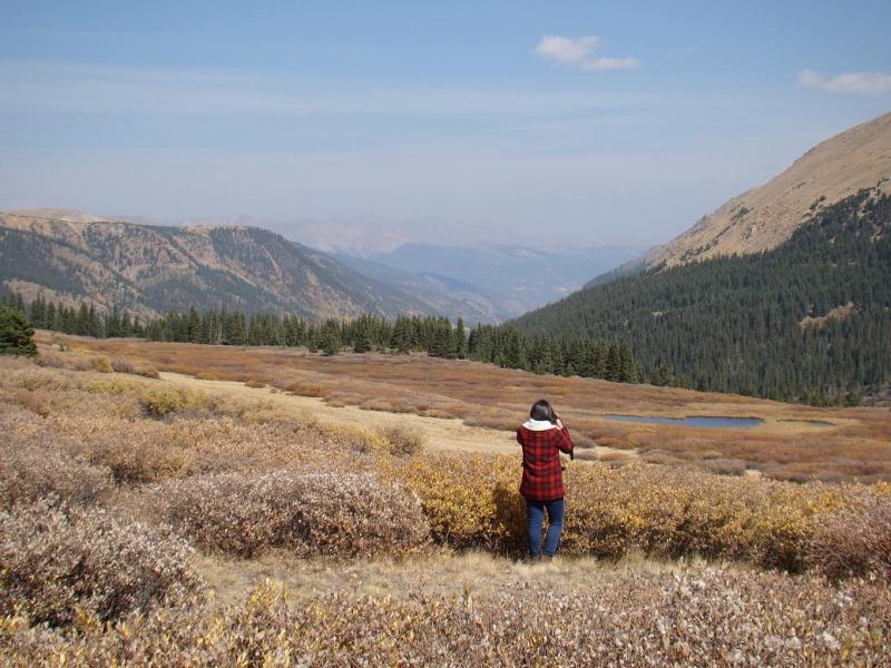 Name:  14_zpseac9dd05.jpg
Views: 6
Size:  96.8 KB