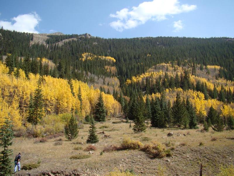 Name:  16_zps0854ab90.jpg
Views: 13
Size:  115.4 KB