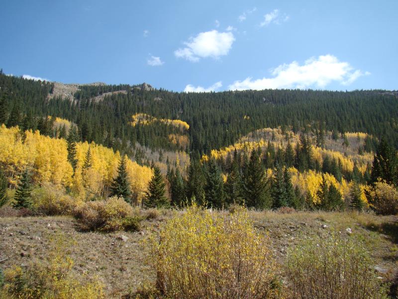 Name:  17_zpsb1d3a66b.jpg
Views: 13
Size:  112.1 KB