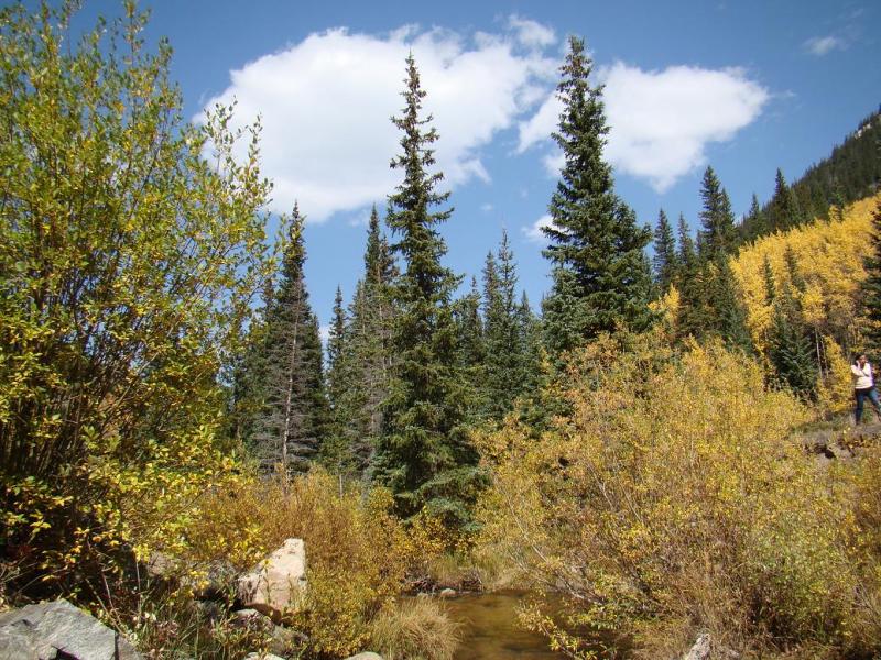 Name:  18_zps050c0702.jpg
Views: 7
Size:  150.9 KB