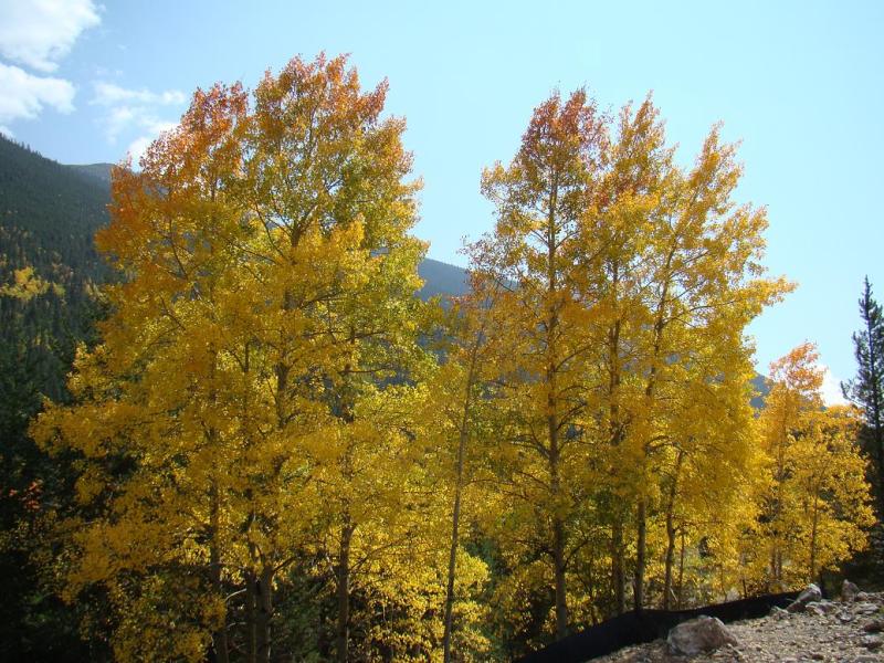 Name:  20_zpsd21c096f.jpg
Views: 13
Size:  129.3 KB