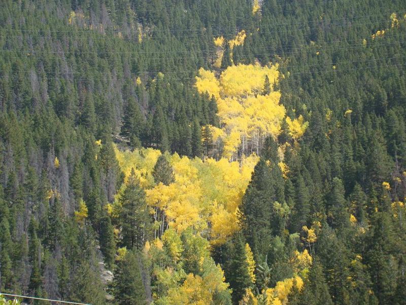 Name:  22_zpsbd6568b4.jpg
Views: 9
Size:  129.4 KB