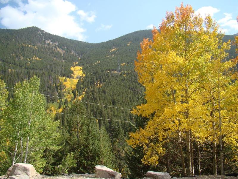 Name:  23_zps44b37a5a.jpg
Views: 7
Size:  132.0 KB