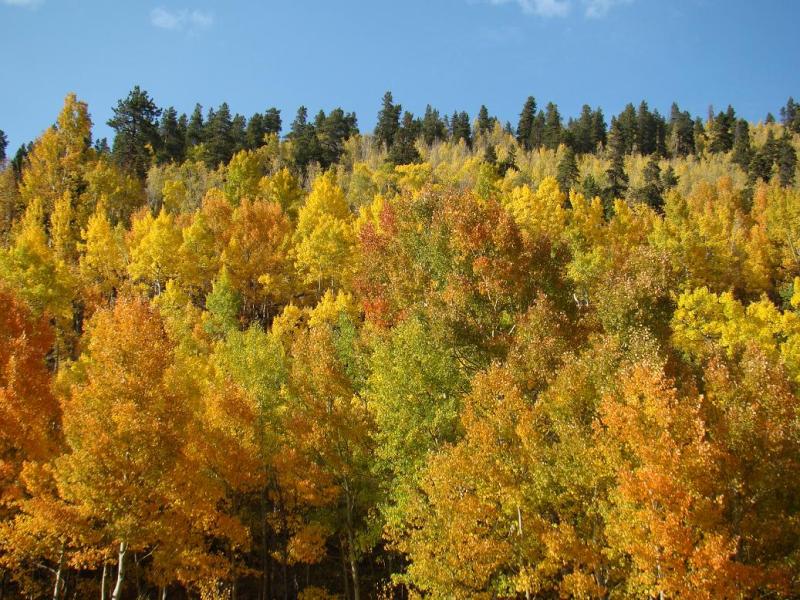 Name:  31_zps5a2b0a10.jpg
Views: 10
Size:  135.4 KB