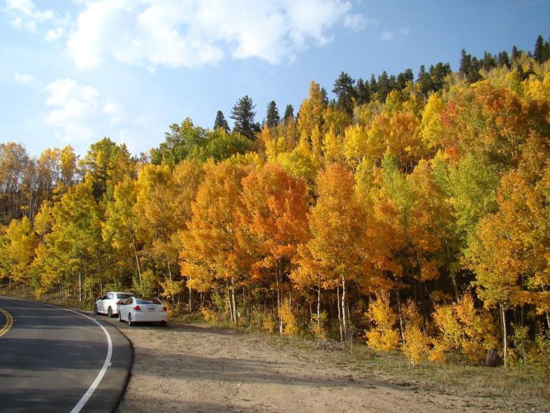 Name:  32_zps08a8629d.jpg
Views: 5
Size:  119.4 KB