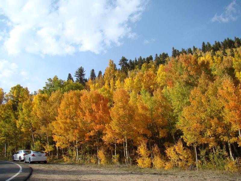 Name:  33_zpsf0b7e42d.jpg
Views: 9
Size:  114.2 KB