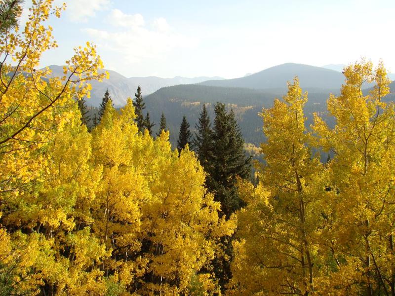 Name:  39_zps339df541.jpg
Views: 6
Size:  131.9 KB