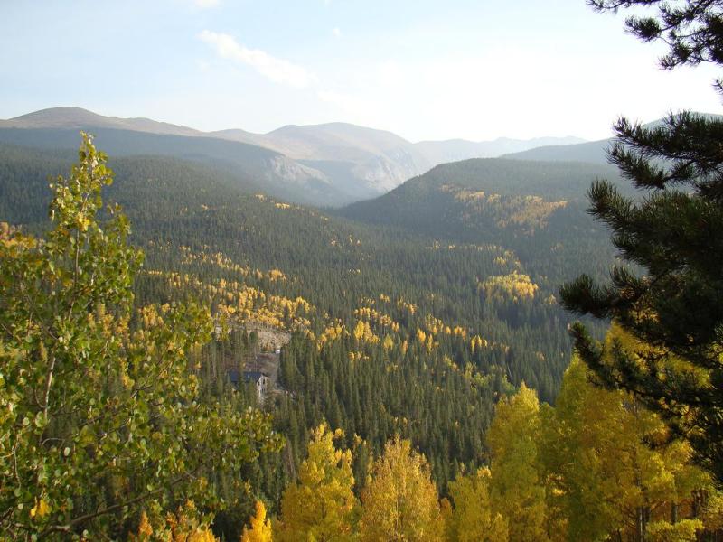 Name:  45_zps9316cadb.jpg
Views: 4
Size:  97.5 KB