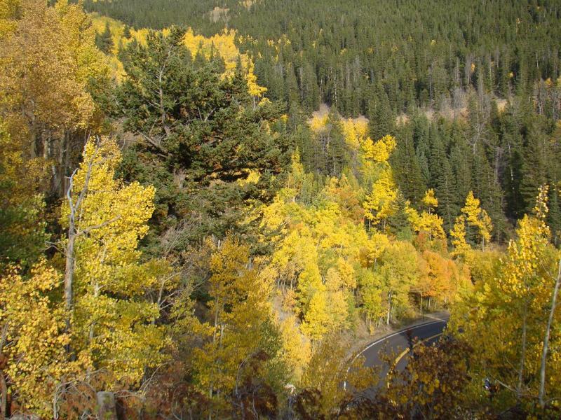 Name:  46_zps424a94b5.jpg
Views: 12
Size:  151.0 KB