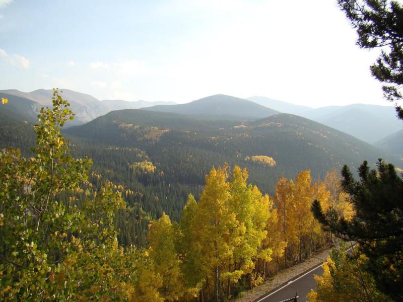 Name:  47_zpsb0b205db.jpg
Views: 7
Size:  86.0 KB