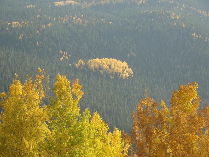 Name:  48_zps5ddb432b.jpg
Views: 6
Size:  101.2 KB