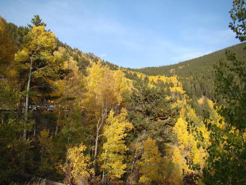 Name:  50_zps70d558e1.jpg
Views: 4
Size:  119.4 KB