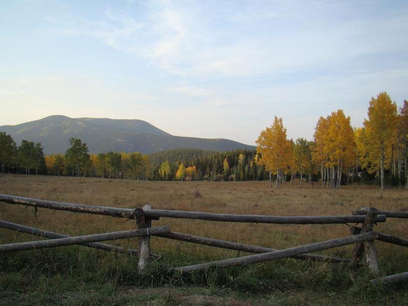 Name:  53_zps95b9d31d.jpg
Views: 6
Size:  62.3 KB