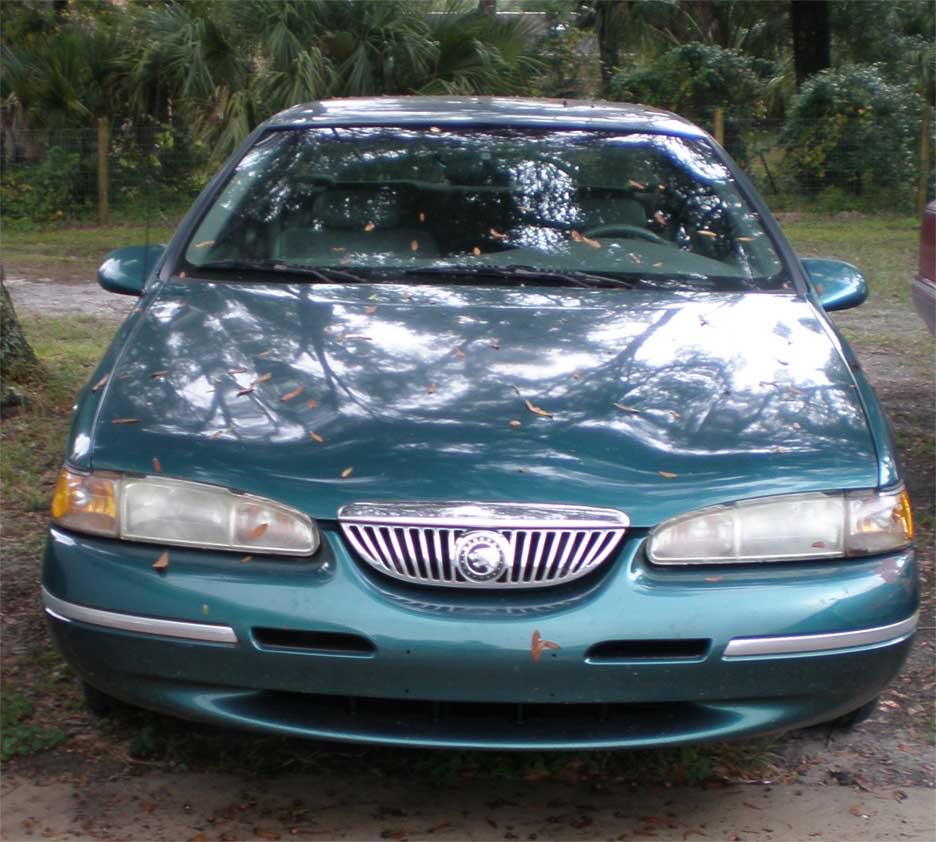Name:  Front_Cougar_copy.jpg
Views: 47
Size:  89.6 KB