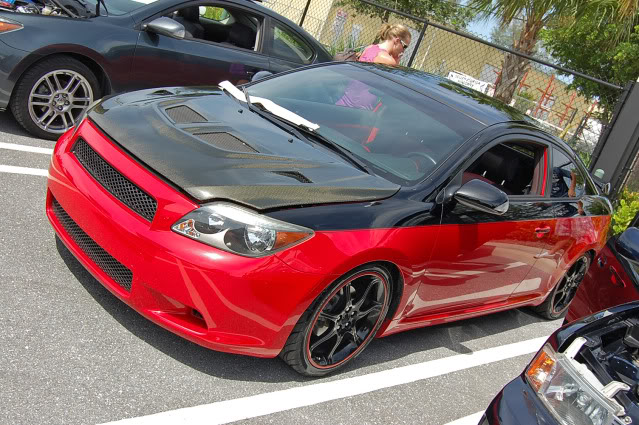 Name: Royal_Palm_Show_813.jpg
Views: 13
Size: 100.2 KB