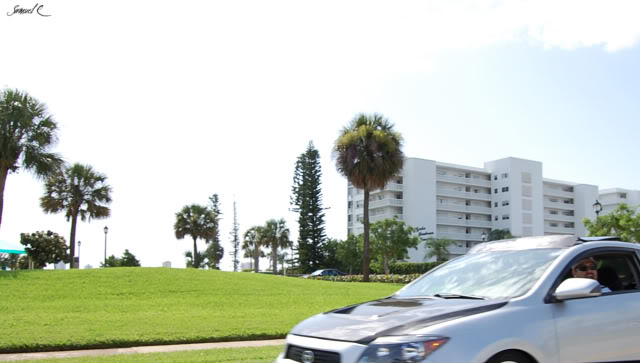Name:  EarlStewart_Scion_246.jpg
Views: 19
Size:  45.1 KB