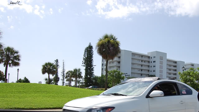 Name:  EarlStewart_Scion_248.jpg
Views: 23
Size:  51.3 KB