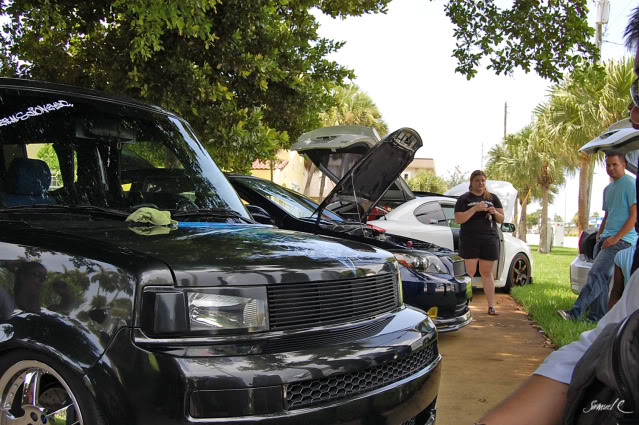 Name:  EarlStewart_Scion_259.jpg
Views: 21
Size:  99.5 KB