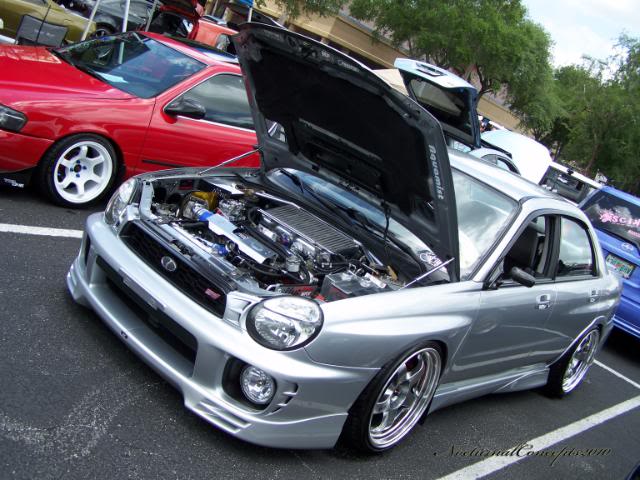 Name:  101_0209.jpg
Views: 19
Size:  75.2 KB