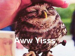 Name:  VItZ5.gif
Views: 35
Size:  1,016.2 KB