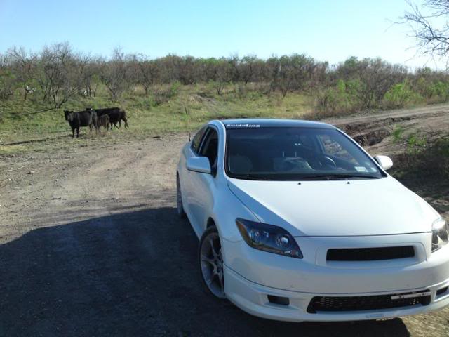 Name:  DSC00090.jpg
Views: 41
Size:  47.3 KB