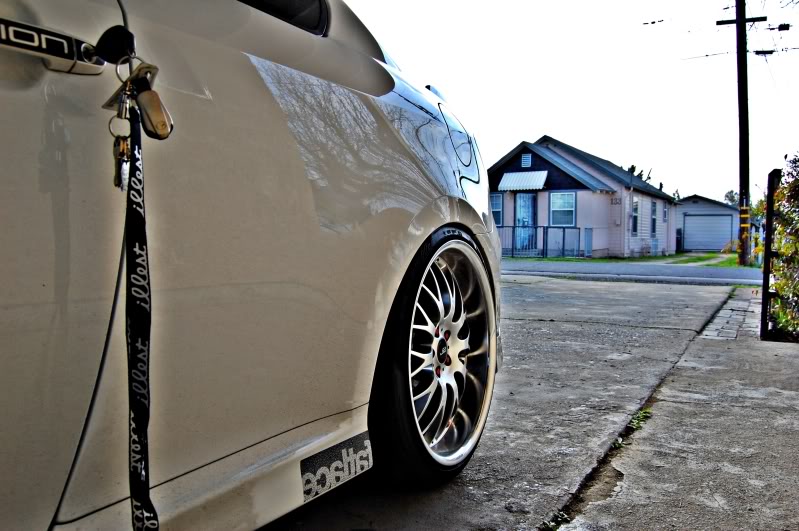 Name:  DSC_0087edit.jpg
Views: 30
Size:  88.5 KB