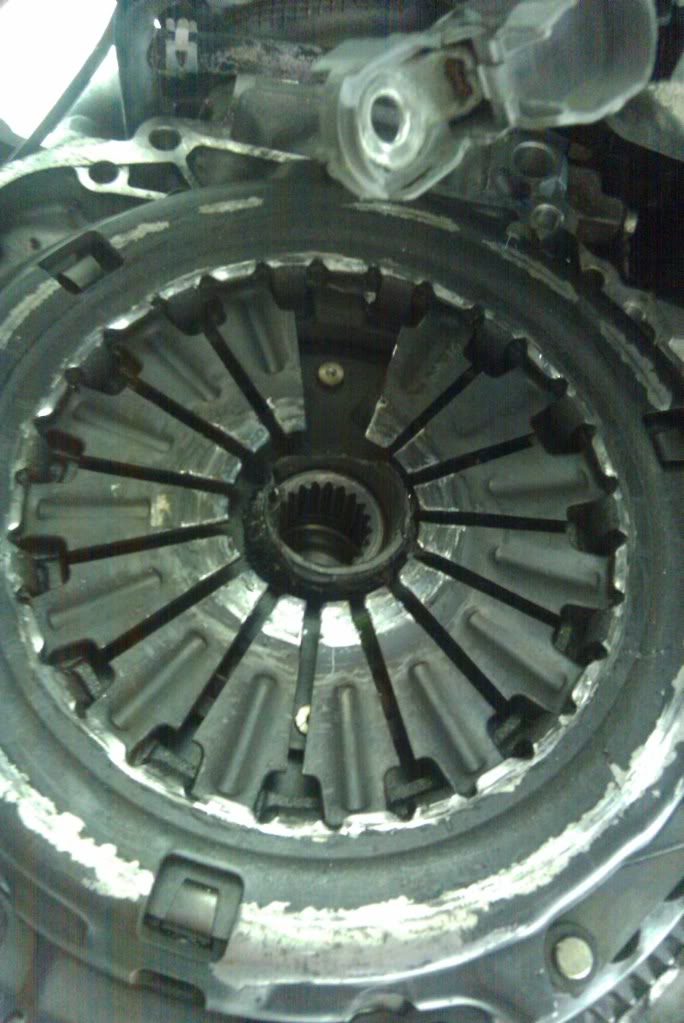 Name:  IMAG0041.jpg
Views: 24
Size:  94.2 KB