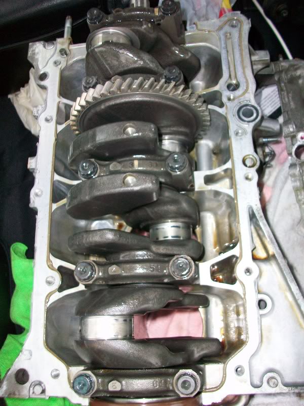 Name:  100_0239.jpg
Views: 27
Size:  100.5 KB